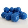 HPWFHPLF Tennis Balls, 12 Packs Practice Tennis Balls for Beginner,
