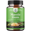 High Strength Mastic Gum Capsules - Herbal Digestion Supplement Providing