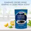 Glisten Disposer Care Foaming Cleaner, Lemon Scent, 4 Use