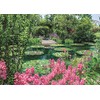 Epoch 500 Piece Jigsaw Puzzle Monet's Garden (15 x 20