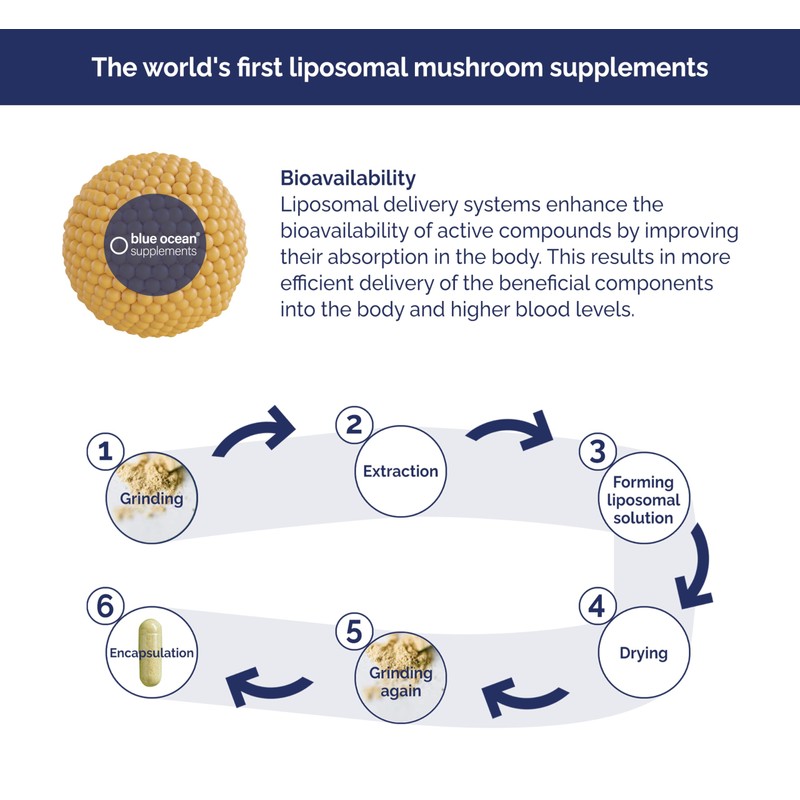 Blue Ocean Supplements Blue Ocean Supplements C Maitake C World's