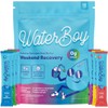Waterboy Weekend Recovery Sample Pack | 3,200mg Electrolyte Powder Packets