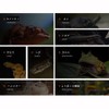 Samcos Thermometer/Hygrometer, Reptile Temperature and Humidity Management, Thermometer, Hygrometer, Room