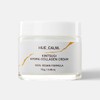 Hucam Kintsuki Collagen Moisture Cream 70g / 휴캄 킨츠키 콜라겐 수분 크림 70G