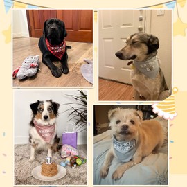 Waghaw Dog Birthday Bandana Dog Birthday Boy Girl Dog Birthday Supplies for Small Medium Large Pet(blue XLarge)