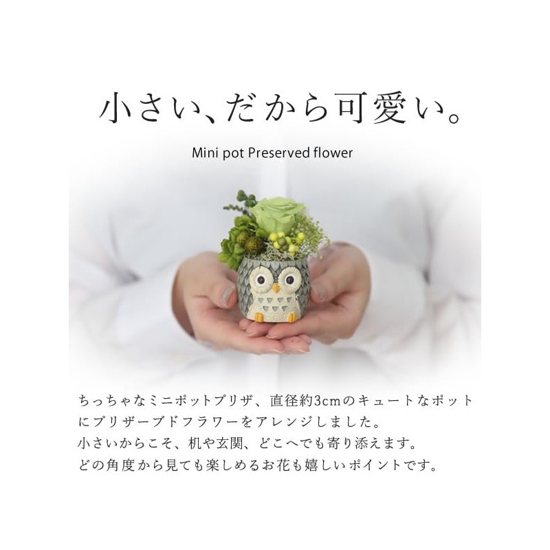 Oimoya Presents for the Aged Day, Preserved Flowers, Owl, Rose,
