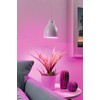 Paulmann Neordic Hilla Pendant Light Max. 1 x 40 W