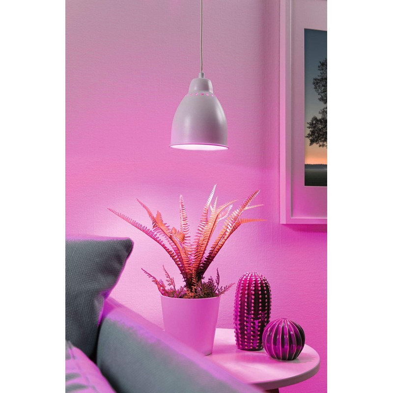 Paulmann Neordic Hilla Pendant Light Max. 1 x 40 W