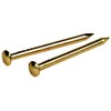 The Hillman Group 532628 Escutcheon Pins 3/4 x 14-Inch, Brass Plated