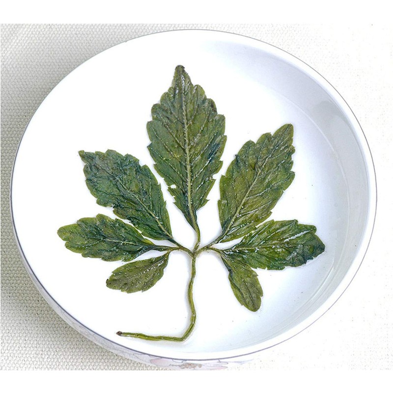 TooGet Wild Jiaogulan Loose Leaf Tea, Premium Gynostemma Pentaphyllum Herbs,