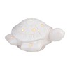 Mud Pie Sea Turtle Light Up Sitter; 2 1/4" X