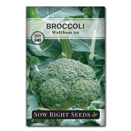 Sow Right Seeds - Waltham 29 Broccoli Seeds for Planting - Non-GMO Heirloom Packet with Instructions to Plant an Outdoor Home Vegetable Garden - Grow Your Own Fresh Green Broccoli - Great Gift (1)