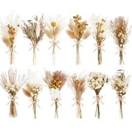 WGXX 12/24 Pack Dried Flowers for Vase Various Mini Bouquet Dried Small Wildflowers Natural Real Flowers Bulk for Crafts DIY Wedding Decor (12, Plain Colour)