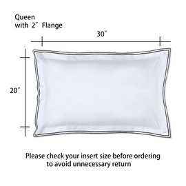 RANZNAZ Set of 2 Elegant Embroidery Pillowcases, Queen Size, 100% Cotton - White Good Feeling Shams, Elegant Trims, Softer and Breathable Pillow Covers, 20x30 inches