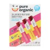 Generic Pure Organic Layered Fruit Bars 3 Variety Pack ~