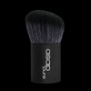 asap Kabuki Brush