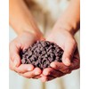 Dark Chocolate Chips by Lily's | Stevia Sweetened, No Added