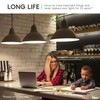 LUXRITE A21 LED Bulbs 150 Watt Equivalent, 2550 Lumens, 3000K
