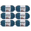 Bernat Blanket 6 Pack (Dark Teal)