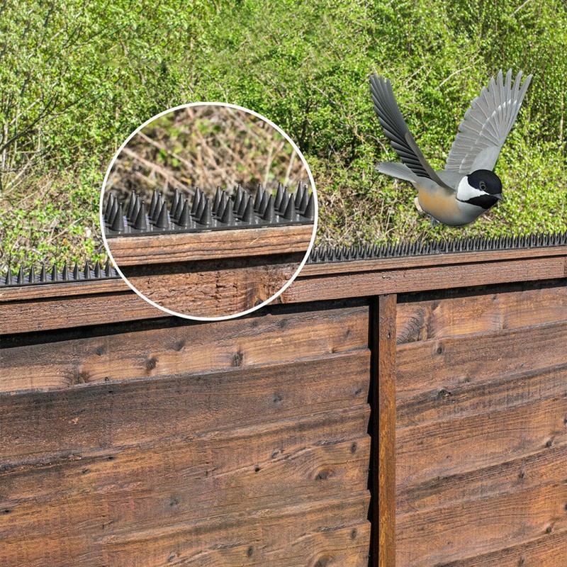 10Pcs Anti Bird Thorn Fence Wall Spike Repellent Nail Deterrent