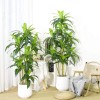 Artificial Decorative Tree 5ft with Leaves Plastic Indoor for Entryway