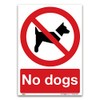No dogs Sign - A5 1mm Rigid Plastic Sign -