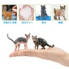 EYSCOTA CAT アニマルフィギュアセット、子供用プラスチック動物