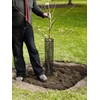 Voglund Nursery Mesh Tree Bark Protector Guard 24 Inches Tall