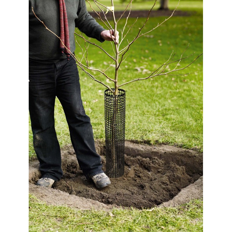 Voglund Nursery Mesh Tree Bark Protector Guard 24 Inches Tall