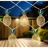 Northlight 10-Count LED Warm White Gold Pineapple String Lights -