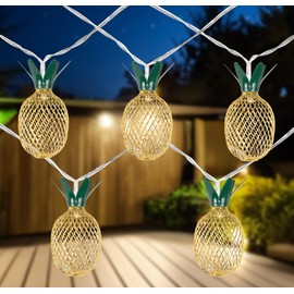 Northlight 10-Count LED Warm White Gold Pineapple String Lights - 3' Clear Wire