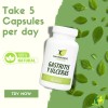 Manteniendo Tu Salud – Gastritis & Ulcers Support with Slippery