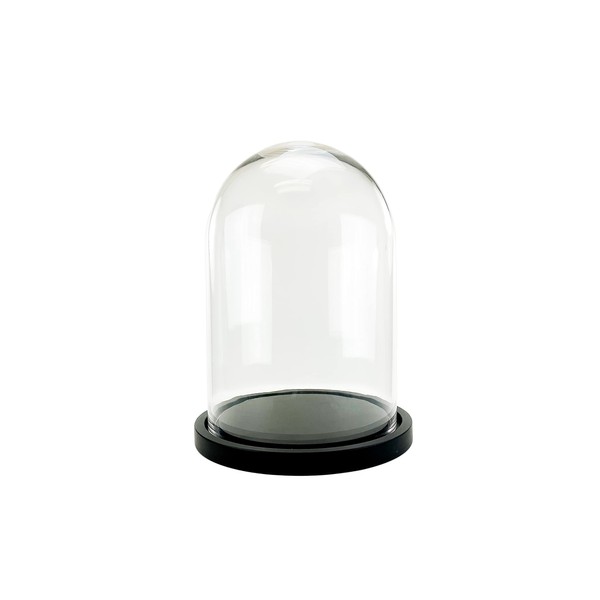 WGV Glass Display Dome Cloche, Diameter 10", Height 16", Clear