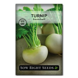 Sow Right Seeds - Collection of Turnip Seeds for Planting - Non-GMO Heirloom Packet with Instructions to Plant & Grow an Outdoor Home Vegetable Garden - 2 Varieties Include Purple Top & Snowball