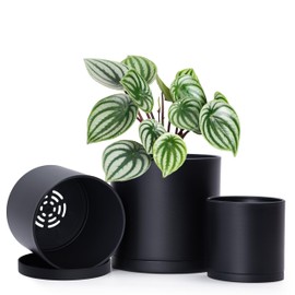D'vine Dev 4 Inch 5 Inch 6 Inch, Set of 3 Plastic Planter Pots for Plants with Drainage Hole and Seamless Saucers, Black Color, Small, 74-V-B-1