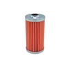 Massey Ferguson Fuel Filter - 3608255M1