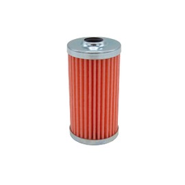 Massey Ferguson Fuel Filter - 3608255M1