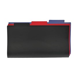 Ruby Paulina 11x17 File Folder Poly (Multi-Colored) 9 pack