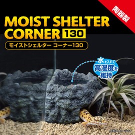 Exotera GEX EXOTERRA Moist Shelter, Corner 130, Reptile Shelter, Humidity Maintenance, Molting Support, Ceramic, Hideaway, Corner Type, Plenty of Water Reservoir, W 5.1 x D 5.1 x H 3.7 inches (13 x 13 x 9.5 cm)