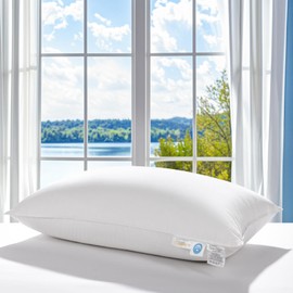 LBRO2M Canadian White Goose Down Pillow 1050 Fill Power 80% Goose Down100% Cotton Pillowcase Queen Down Pillows Ideal for Plush Comfort and Support (20"X36", Set of 1)
