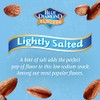 Blue Diamond Almonds Low Sodium Lightly Salted Snack Nuts, 16