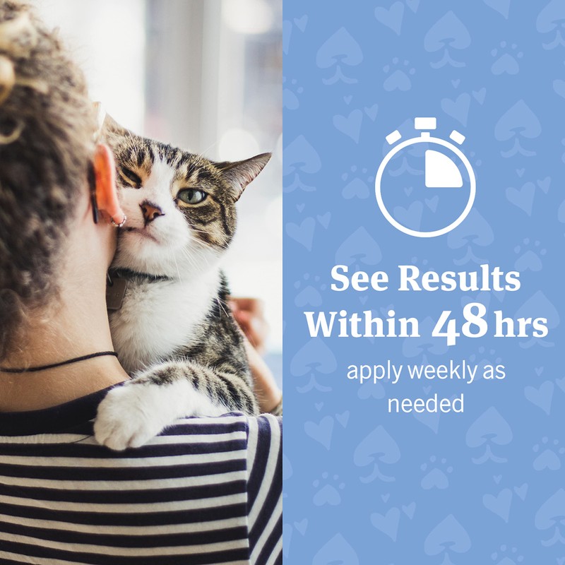 PetArmor Ear Rinse for Dogs & Cats, 4 oz