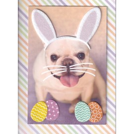 PAPYRUS EASTER CARD NIP (MRP $6.95) DOG W/BUNNY EARS CARD (O10)