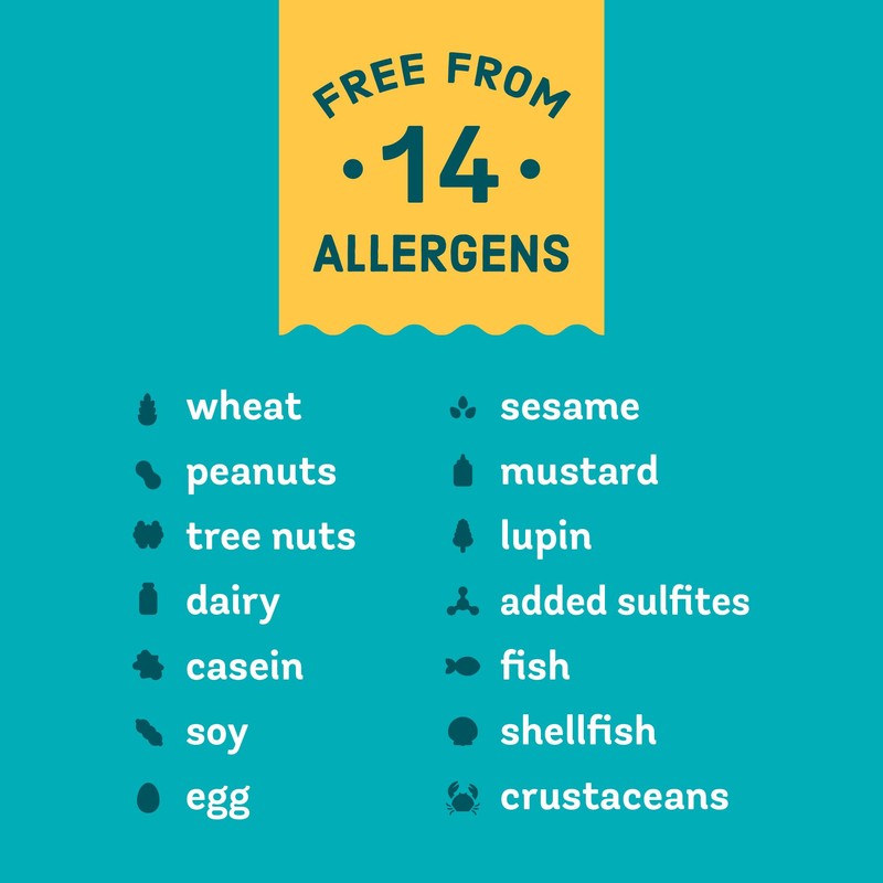 Enjoy Life Ricemilk Baking Morsels, 9 oz Bag