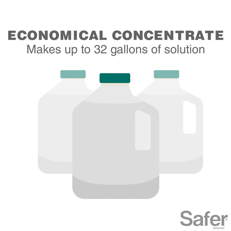 Safer Brand Caterpillar Killer II Concentrate - OMRI Listed for
