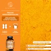 QIDOSHA® Novasol® Curcumin Liquid, 120 Capsules in Pharmacist Glass, 500