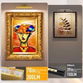 Afyuol Picture Lights for Wall, Battery Operated Picture Light 16in Gallery Light for Paintings CCT Dimmable Recharging Battery Wall Light with Remote Control for Living Room Gallery Dartboard Art