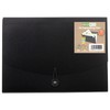eco-eco A4 50% Recycled 13 Clear Pocket Black Cover Expanding
