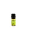 Primavera Organic Tea Tree Oil