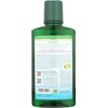 Auromere Ayurvedic Mouthwash - Vegan, Fluoride Free, Alcohol Free, Natural,